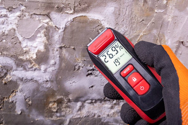 Best Black Mold Removal  in Hide A Way Lake, MS
